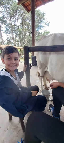 Bicho Mania 2022